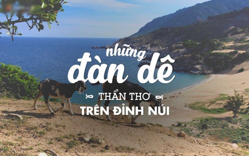 Du lịch Ninh Thuận qua những hình ảnh đẹp nhìn là yêu liền 13