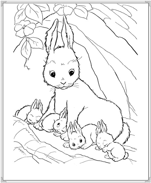 Hình ảnh con thỏ hoạt hình đẹp nhất dễ thương cho bé tô màu 27