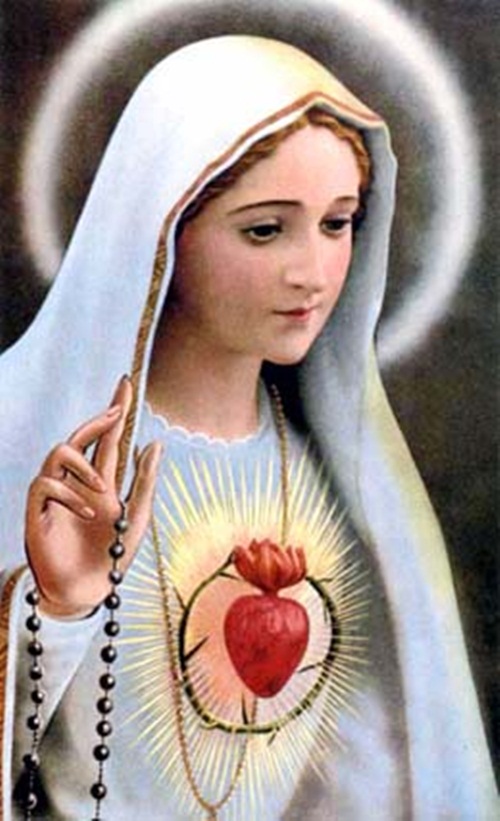Ảnh đức mẹ Maria đẹp mân côi fatia linh thiêng 13