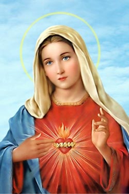 Ảnh đức mẹ Maria đẹp mân côi fatia linh thiêng 15