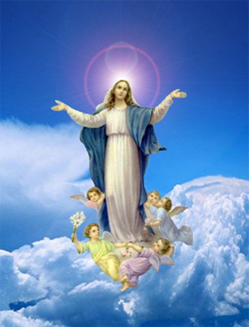 Ảnh đức mẹ Maria đẹp mân côi fatia linh thiêng 2