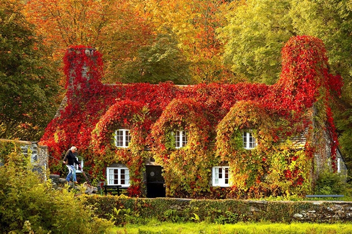 Những ảnh đẹp thiên nhiên về mùa thu quyến rũ và lãng mạng nhất 13