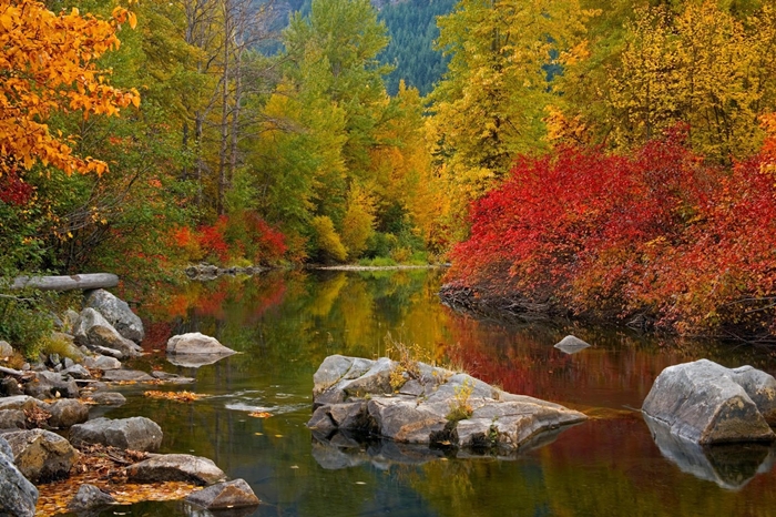 Những ảnh đẹp thiên nhiên về mùa thu quyến rũ và lãng mạng nhất 4
