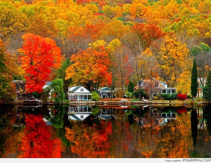 Những ảnh đẹp thiên nhiên về mùa thu quyến rũ và lãng mạng nhất 7