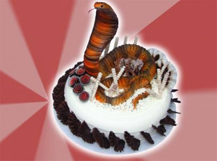 Những hình ảnh bánh sinh nhật hình con Rắn trong đáng yêu và dễ thương lắm nhé 3