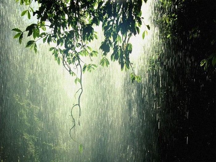 Những hình ảnh đẹp thiên nhiên khi trời mưa làm xao xuyến lòng người 1