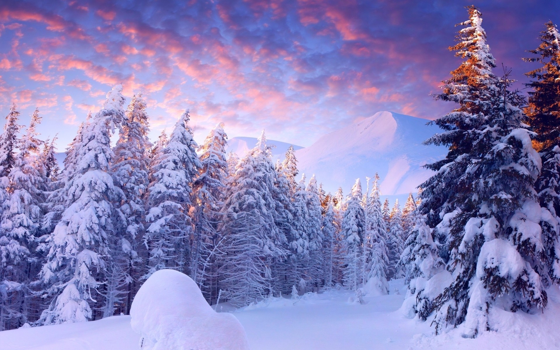 Bộ sưu tập những hình ảnh thiên nhiên khi tuyết rơi tuyệt đẹp 12