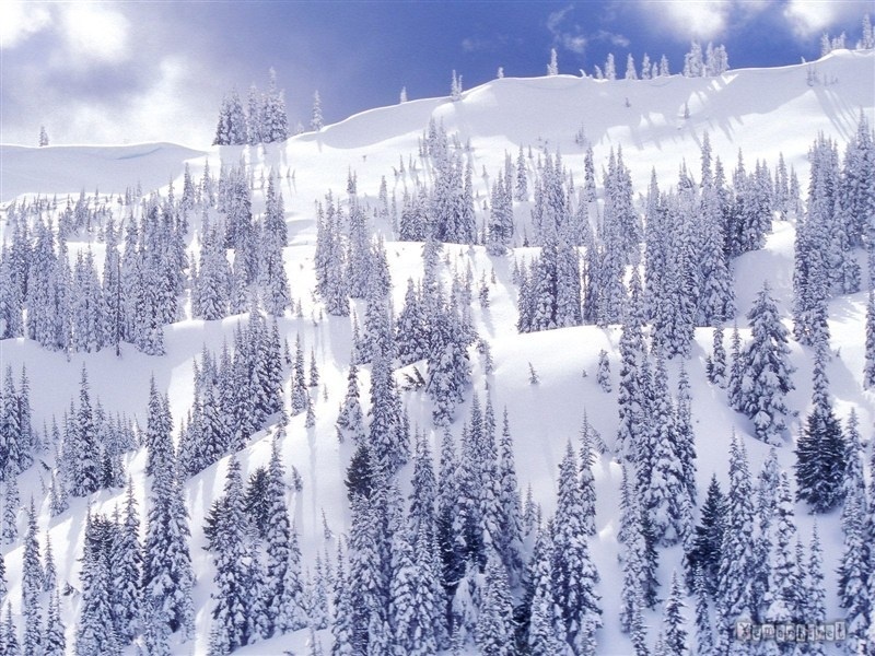 Bộ sưu tập những hình ảnh thiên nhiên khi tuyết rơi tuyệt đẹp 6
