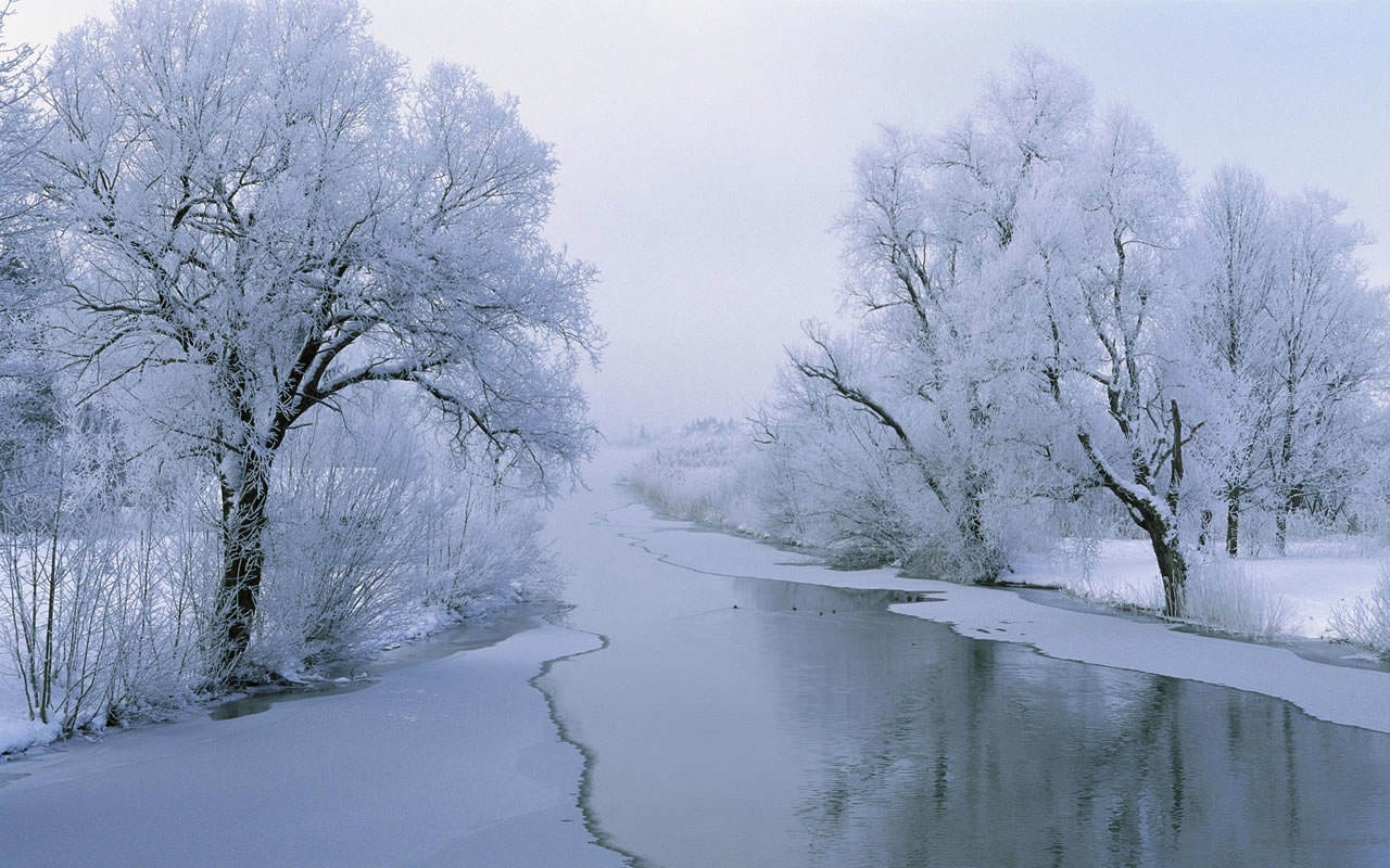 Bộ sưu tập những hình ảnh thiên nhiên khi tuyết rơi tuyệt đẹp 9