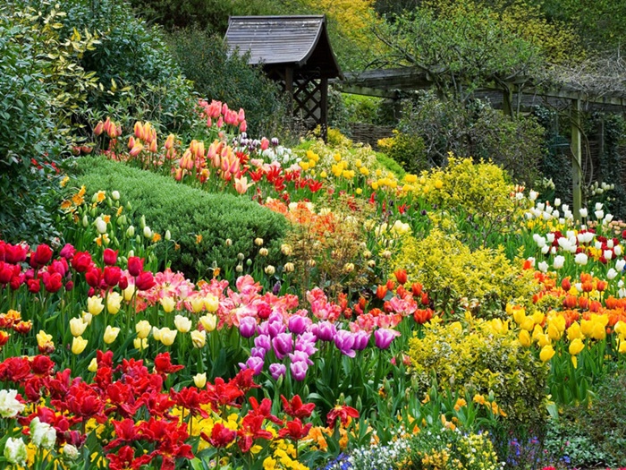 Bộ sưu tập những vườn hoa đẹp và lãng mạn ấn tượng nhất 10