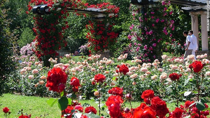 Cùng chiêm ngưỡng những vườn hoa đẹp và lang mạn nhất thế giới 1