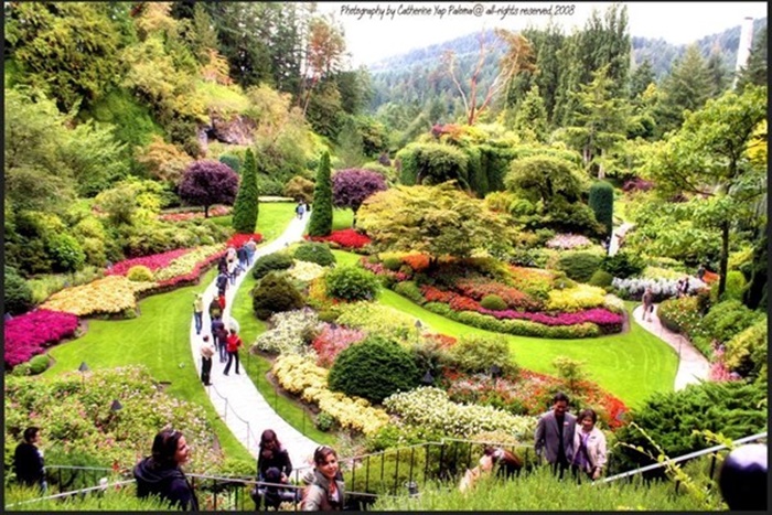 Cùng chiêm ngưỡng những vườn hoa đẹp và lang mạn nhất thế giới 5