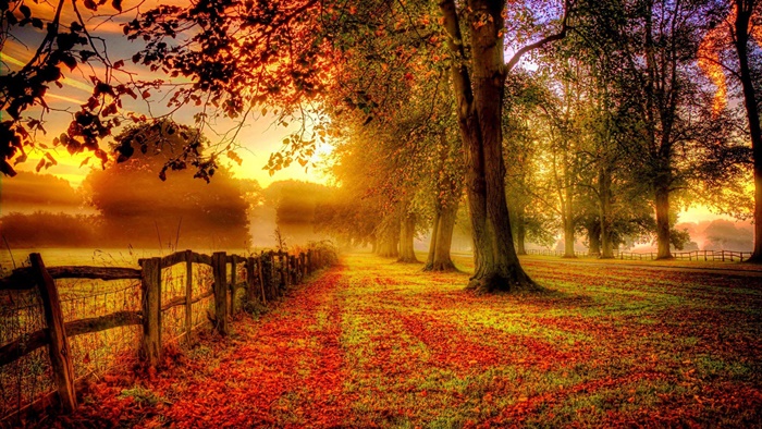 Những cảnh đẹp thiên nhiên lãng mạn và đầy quyến rũ với cảnh đẹp mùa thu 1