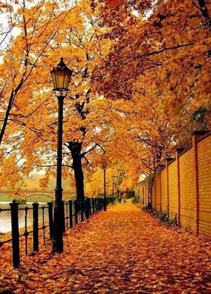 Những cảnh đẹp thiên nhiên lãng mạn và đầy quyến rũ với cảnh đẹp mùa thu 12