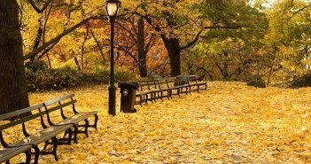 Những cảnh đẹp thiên nhiên lãng mạn và đầy quyến rũ với cảnh đẹp mùa thu 4