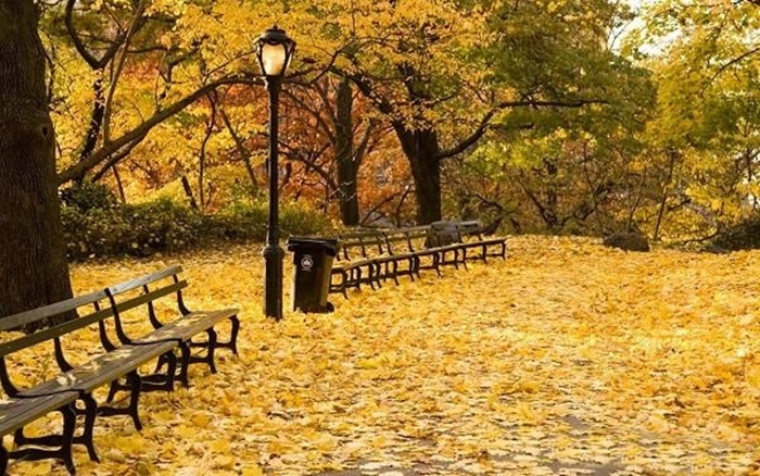 Những cảnh đẹp thiên nhiên lãng mạn và đầy quyến rũ với cảnh đẹp mùa thu 4