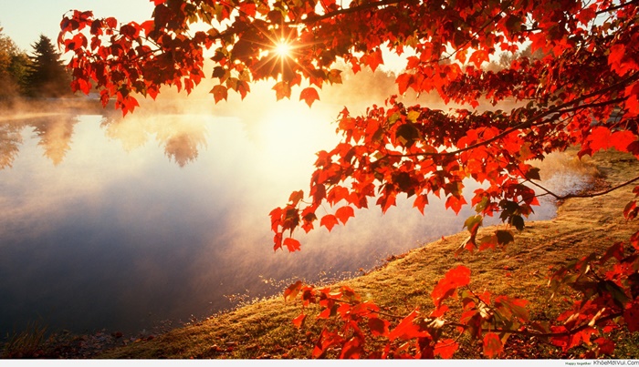 Những cảnh đẹp thiên nhiên lãng mạn và đầy quyến rũ với cảnh đẹp mùa thu 8