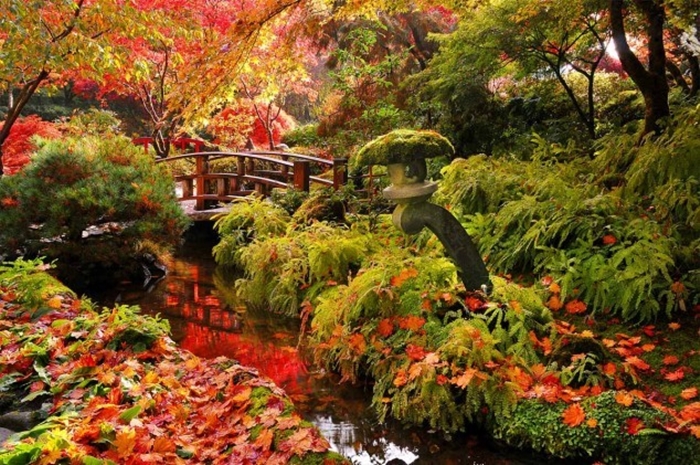 Những cảnh đẹp thiên nhiên thơ mộng lãng mạn nhất về mùa thu 11