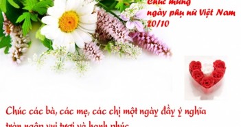 Những câu chúc hay và ý nghĩa cho ngày 20-10 Ngày Phụ Nữ Việt Nam 2