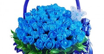 Những giỏ hoa hồng đẹp nhất dành tặng các bạn gái trong ngày lễ 20-10 8