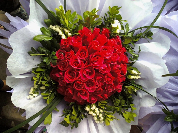 Những hình ảnh bó hoa dành tặng 20-10 đẹp ấn tượng và đầy lãng mạn 5