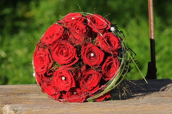 Những hình ảnh hoa hồng đỏ tặng 20-10 lãng mạn và vô cùng thơ mộng 4