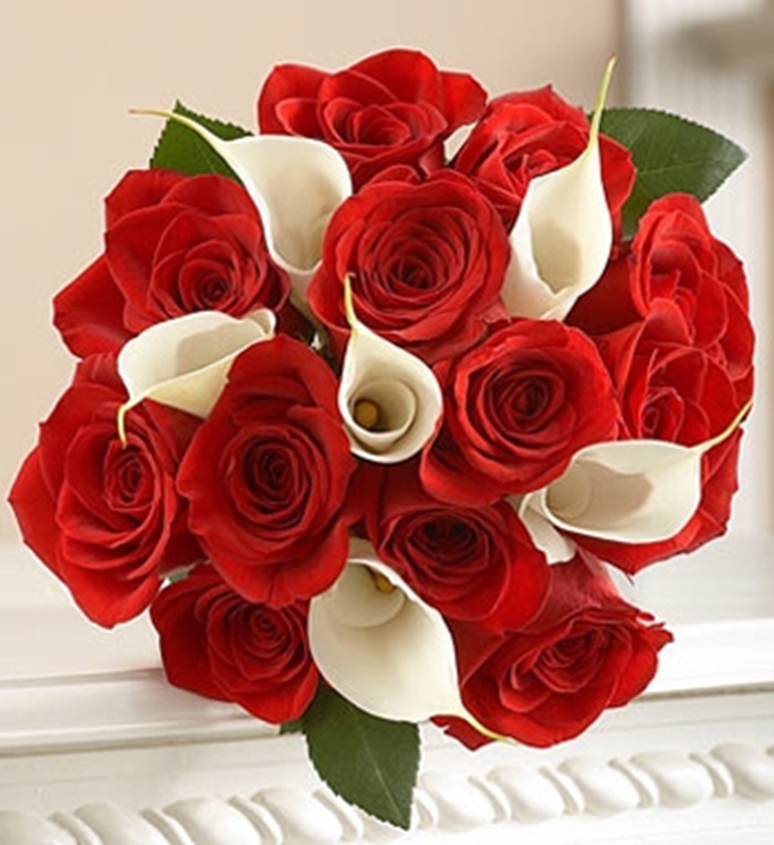 Những hình ảnh hoa hồng đỏ tặng 20-10 lãng mạn và vô cùng thơ mộng 6