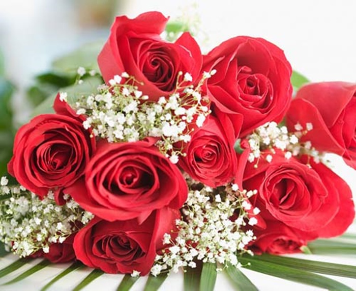Những hình ảnh hoa hồng tặng 20-10 cho bạn gái vô cùng lãng mạn 9