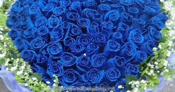 Những hình ảnh hoa hồng xanh tặng 20-10 ấn tượng và lãng mạn nhất 1