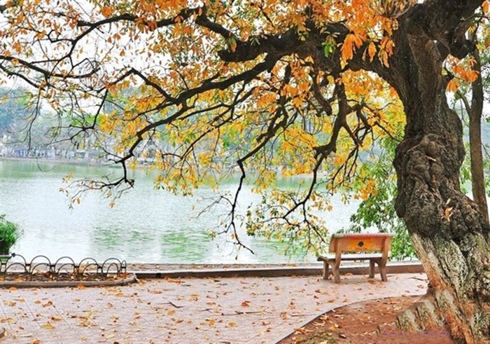 Những hình ảnh thiên nhiên Hà Nội về mùa thu lãng mạn và thơ mộng 3
