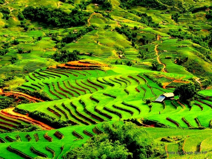Những hình ảnh thiên nhiên lãng mạn và thơ mộng nhất Việt Nam 10