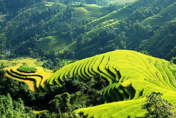 Những hình ảnh thiên nhiên lãng mạn và thơ mộng nhất Việt Nam 11