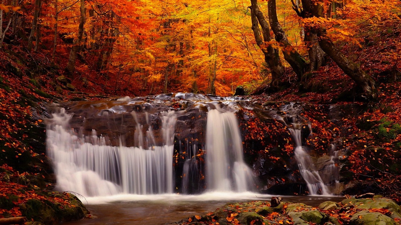 Những hình ảnh thiên nhiên mùa thu đẹp thơ mộng và vô cùng lãng mạn 2