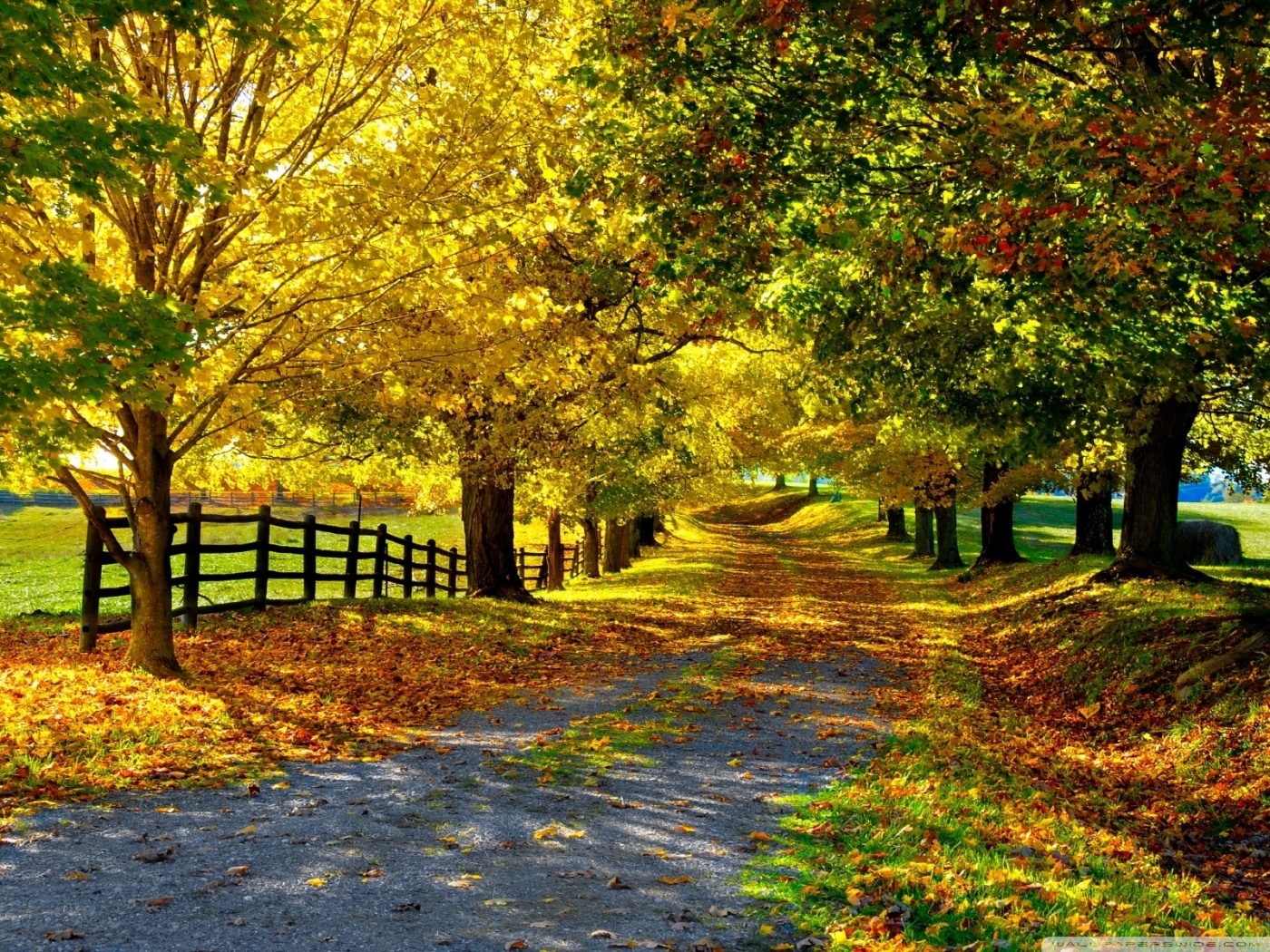 Những hình ảnh thiên nhiên mùa thu đẹp thơ mộng và vô cùng lãng mạn 4