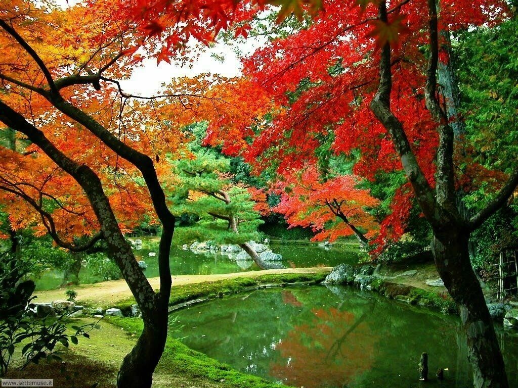 Những hình ảnh thiên nhiên mùa thu đẹp thơ mộng và vô cùng lãng mạn 5