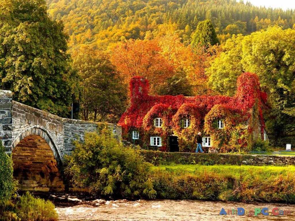 Những hình ảnh thiên nhiên mùa thu đẹp thơ mộng và vô cùng lãng mạn 8