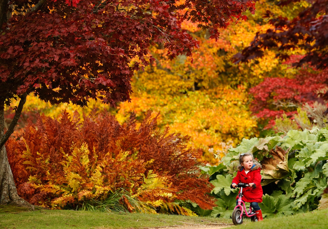 Những hình ảnh thiên nhiên mùa thu đẹp thơ mộng và vô cùng lãng mạn 9
