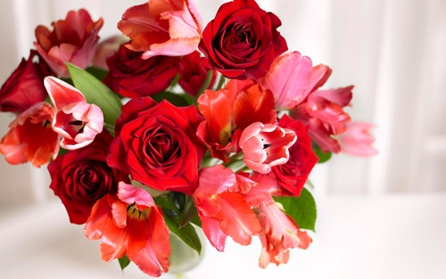 Bó hoa đẹp nhất tặng người yêu đảm bảo tán là đỗ 2
