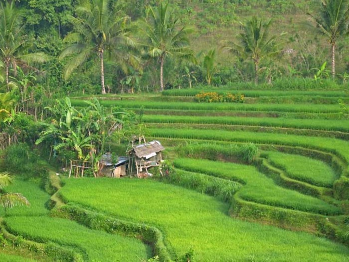 Bộ sưu tập những hình ảnh thiên nhiên đẹp thơ mộng nhất thế giới 9