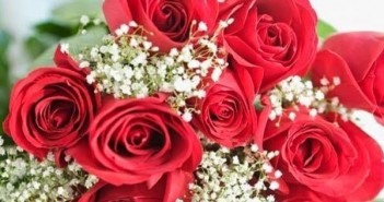 Hình ảnh hoa hồng dành tặng cô giáo thầy giáo nhân ngày 20-11 đẹp nhất mang nhiều ý nghĩa 1
