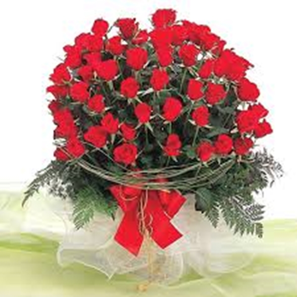 Hình ảnh hoa hồng dành tặng cô giáo thầy giáo nhân ngày 20-11 đẹp nhất mang nhiều ý nghĩa 6