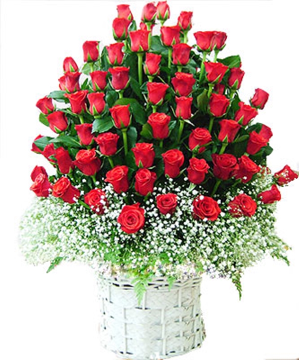 Hình ảnh hoa hồng dành tặng cô giáo thầy giáo nhân ngày 20-11 đẹp nhất mang nhiều ý nghĩa 7