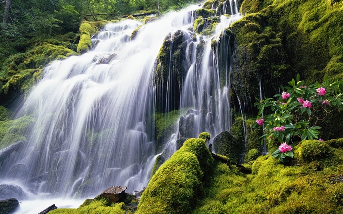 Những hình ảnh thác nước đẹp và vô cùng ấn tượng nhé 8