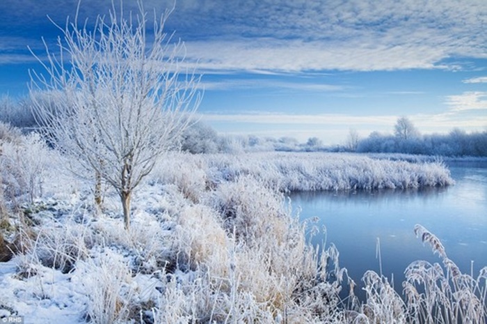 Những hình ảnh thiên nhiên đẹp với những bông tuyết trắng xóa 10