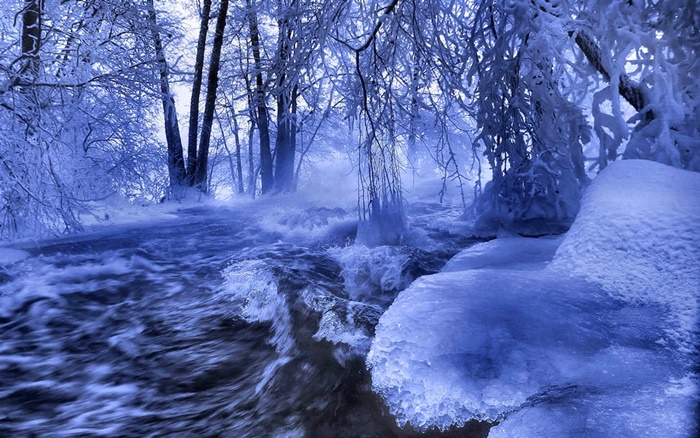 Những hình ảnh thiên nhiên đẹp với những bông tuyết trắng xóa 4