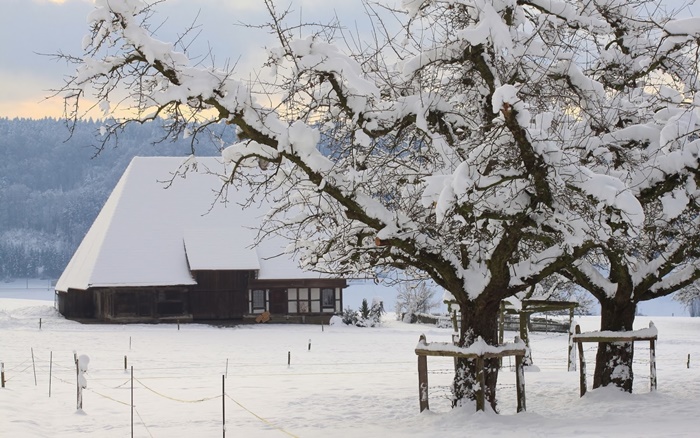 Những hình ảnh thiên nhiên mùa đông đẹp lãng mạn và ấn tượng nhất 5