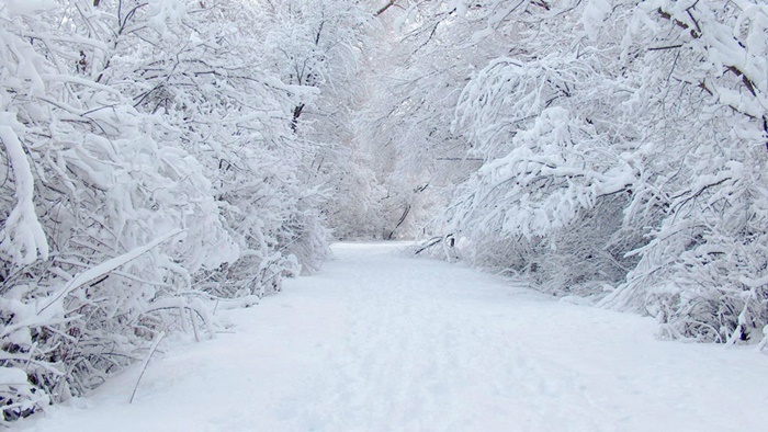 Những hình ảnh thiên nhiên mùa đông đẹp lãng mạn và ấn tượng nhất 7