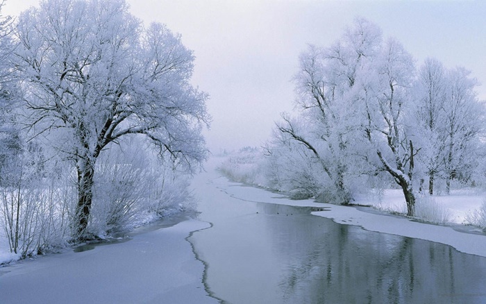 Những hình ảnh thiên nhiên mùa đông đẹp lãng mạn và ấn tượng nhất 9