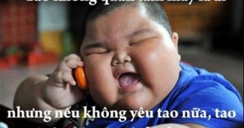 Những hình ảnh vui những câu nói hài hước nhất Việt Nam 1