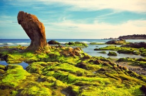 Những phong cảnh thiên nhiên đẹp và thơ mộng nhất Việt Nam 1